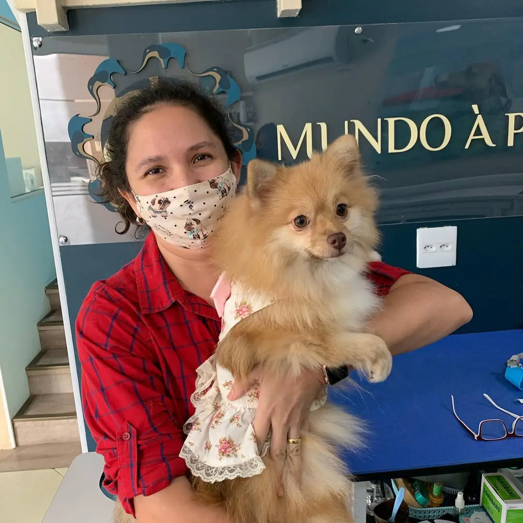 banner4-veterinaria-barra-tijuca