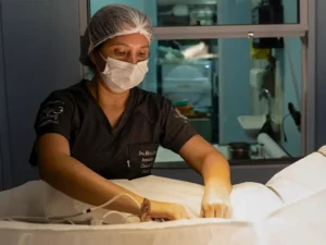cirurgia-veterinaria-barra-tijuca