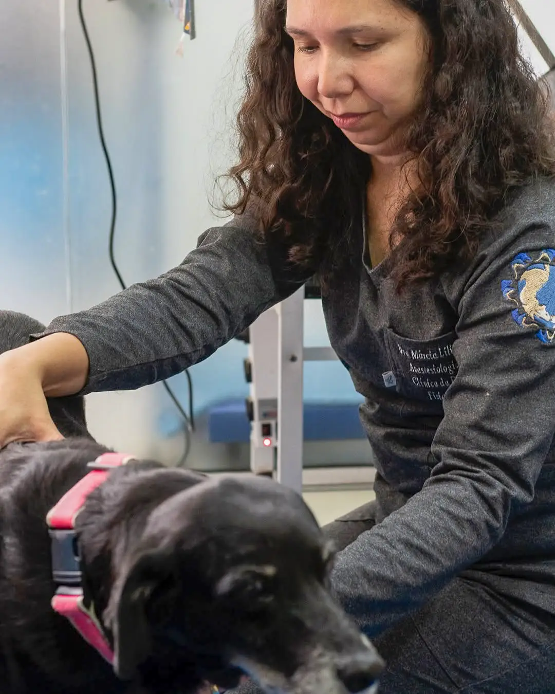 fisioterapia-veterinaria