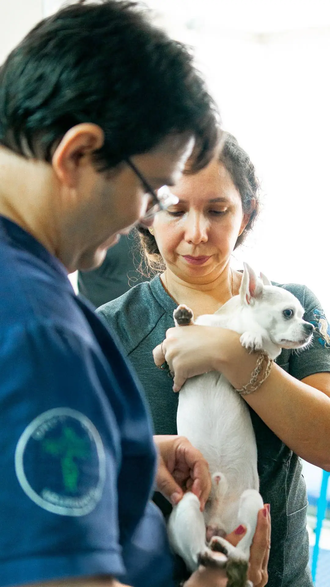 veterinaria-barra-tijuca
