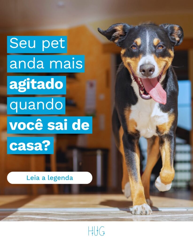 Ansiedade de separação em Pets: Entenda e cuide com carinho